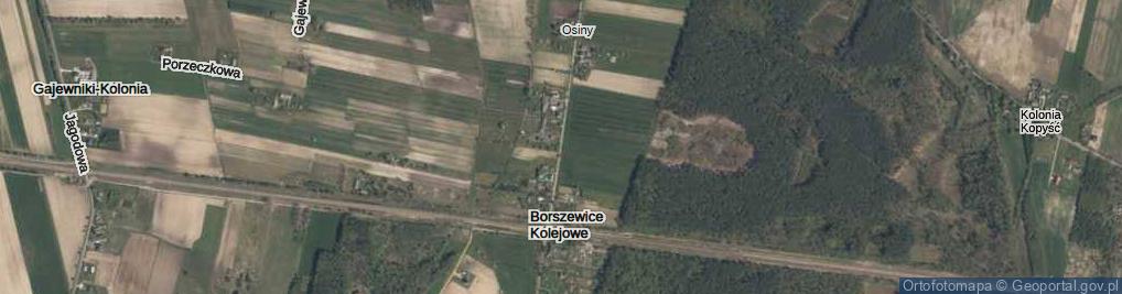 Zdjęcie satelitarne Borszewice Kolejowe ul.